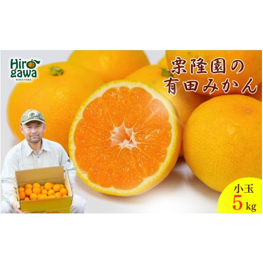 ふるさと納税 果物類 みかん 和歌山県 広川町 有田 みかん 小玉 サイズ混合 5kg / 有田みかん 温州みかん 甘い 小玉 和歌山 柑橘 5kg 11月上旬〜翌年1月に順…