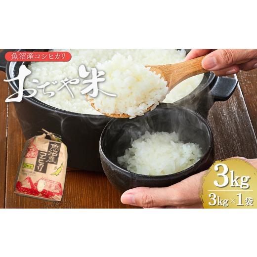 ふるさと納税 米 コシヒカリ 新潟県 小千谷市 令和7年産 魚沼産コシヒカリ「おぢや米」 計3kg(3kg×1袋) クラフト袋 JA魚沼 新潟県 特Aの魚沼地域 | 新潟県…