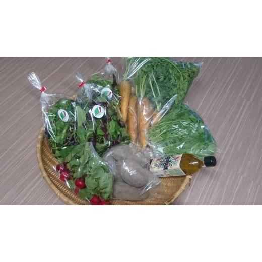 ふるさと納税 セット・詰合せ 兵庫県 上郡町 こだわり野菜の詰め合わせセット(お野菜に合うドレッシング付き) | ベビーリーフ 季節の野菜 野菜 やさい 季節 …