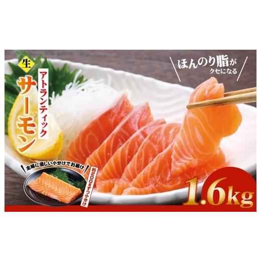 ふるさと納税 鮭・サーモン 大阪府 泉佐野市 生食可 アトランティックサーモン 合計1.6kg 小分け 柵切り 刺身 魚介 海鮮