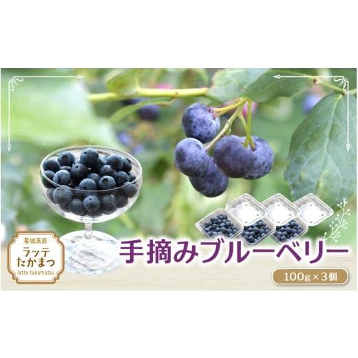 ふるさと納税 果物類 奈良県 葛城市 手摘みブルーベリー 7月末頃〜8月末頃 100g×3個 / 葛城 高原 牧場