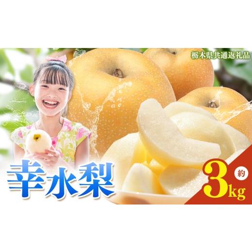 ふるさと納税 梨 栃木県 真岡市  2026年先行予約 栃木県産 梨 幸水 3kg | こうすい なし ナシ 完熟 果物 フルーツ プレゼント ご褒美 お取り寄せ 贈答 おいし…_1