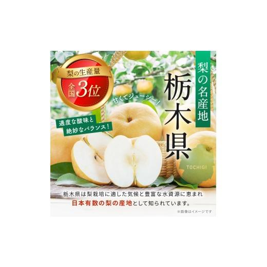 ふるさと納税 梨 栃木県 真岡市  2026年先行予約 栃木県産 梨 幸水 3kg | こうすい なし ナシ 完熟 果物 フルーツ プレゼント ご褒美 お取り寄せ 贈答 おいし…_2