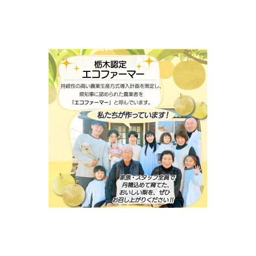 ふるさと納税 梨 栃木県 真岡市  2026年先行予約 栃木県産 梨 幸水 3kg | こうすい なし ナシ 完熟 果物 フルーツ プレゼント ご褒美 お取り寄せ 贈答 おいし…_4