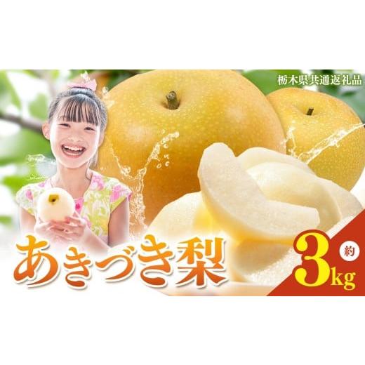 ふるさと納税 梨 栃木県 真岡市 栃木県産 梨 あきづき 3kg 2026年先行予約 | 秋月 なし ナシ 完熟 果物 フルーツ プレゼント ご褒美 お取り寄せ 贈答 おいしい…