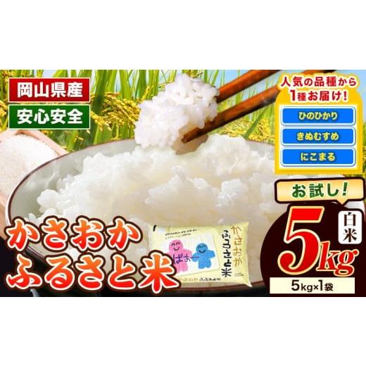 ふるさと納税 米 ヒノヒカリ 岡山県 笠岡市 令和8年3月発送 米 令和7年産 5kg 5kg×1袋 ふるさと米 備中笠岡 人気品種をお届け 国産 ヒノヒカリ にこまる き…
