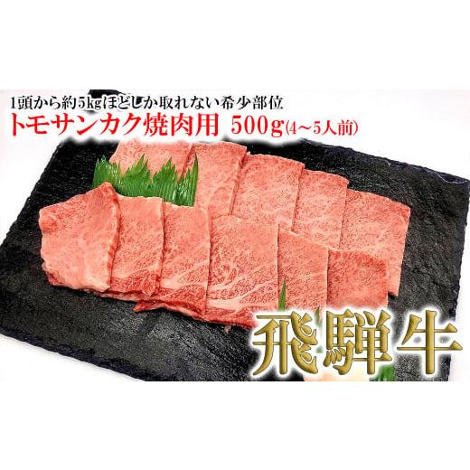 ふるさと納税 牛肉 焼肉・バーベキュー 岐阜県 下呂市 年内順次発送 菊の井 飛騨牛トモサンカク焼肉 500g(4〜5人前)牛肉 ブランド牛 国産 焼き肉 牛 飛騨 …