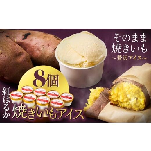 ふるさと納税 菓子 アイス 鹿児島県 鹿屋市 紅はるか焼きいもアイス(8個入り) KN046-010