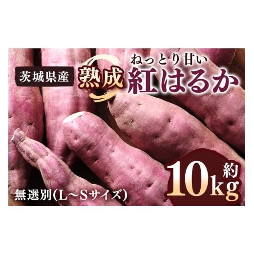ふるさと納税 野菜類 サツマイモ 茨城県 潮来市 さつまいも 熟成紅はるか 約10kg 無選別 (L〜Sサイズ) 茨城県産 ねっとり 甘い 焼き芋 大学芋 天ぷら 熟成 自…