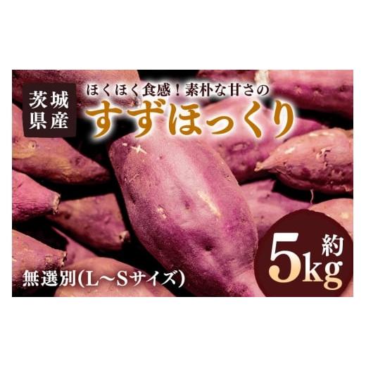 ふるさと納税 野菜類 サツマイモ 茨城県 潮来市 さつまいも すずほっくり 約5kg 無選別(L〜Sサイズ) 茨城県産 ホクホク 食感 焼き芋 天ぷら 大学芋 しっとり …