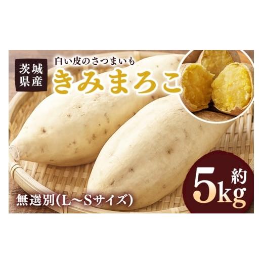ふるさと納税 野菜類 サツマイモ 茨城県 潮来市 さつまいも きみまろこ 約5kg 無選別(L〜Sサイズ) 茨城県産 卵 黄身 肉色 まろやか 口当たり 焼き芋 お菓子 白…
