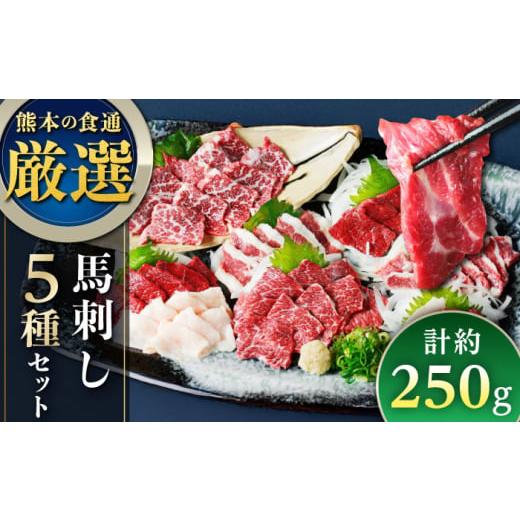 ふるさと納税 馬肉 熊本県 合志市 馬刺し 5種 盛り合わせセット 5人前 約250g 熊本直送 株式会社Foody's
