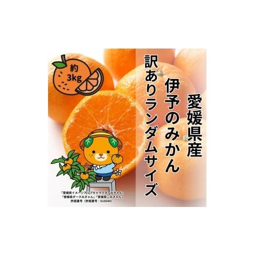ふるさと納税 みかん・柑橘類 愛媛県 伊予市 訳あり 伊予のみかん 約3kg サイズミックス ランダム 2025年11月下旬から順次発送予定 みかん 愛媛県産 数量限定 …