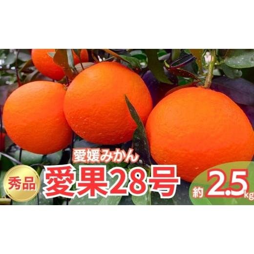 ふるさと納税 果物類 みかん 愛媛県 伊予市 みかん 愛果28号 秀品 約2.5kg バラ詰め 12月中旬から順次発送予定 紅まどんなと同一品種 愛媛 人気 柑橘 国産 フ…