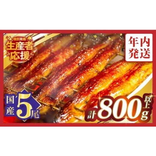 ふるさと納税 うなぎ 宮崎県 都農町 年内発送 数量・期間限定 特別規格 うなぎ蒲焼5尾(さんしょう・たれ付き)計800g以上 鰻 魚 魚介 加工品 国産_T026-0032-1…