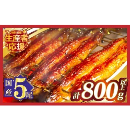 ふるさと納税 うなぎ 宮崎県 都農町 令和8年1月発送 数量・期間限定 特別規格 うなぎ蒲焼5尾(さんしょう・たれ付き)計800g以上 鰻 魚 魚介 加工品 国産_T026-…