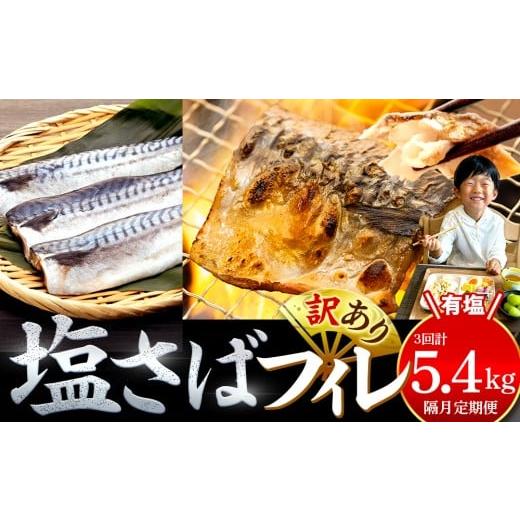 ふるさと納税 干物 サバ 愛知県 南知多町 隔月3回定期便 訳あり 塩サバ 約1.8kg 12枚 × 3回お届け 冷凍 鯖 塩 さば 魚 さかな 海鮮 海産物 おかず サバ 鯖ご…