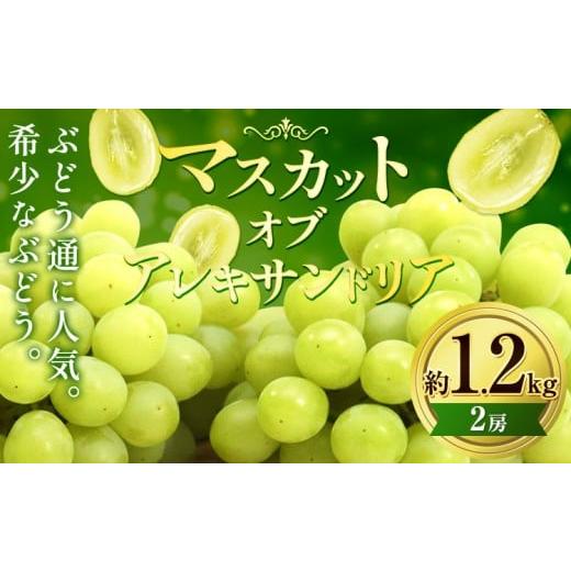 ふるさと納税 ぶどう マスカット 岡山県 浅口市 2026年先行予約 マスカット・オブ・アレキサンドリア 約 1.2kg (2房) くぼ農園 [2026年9月上旬-10月上旬頃出…