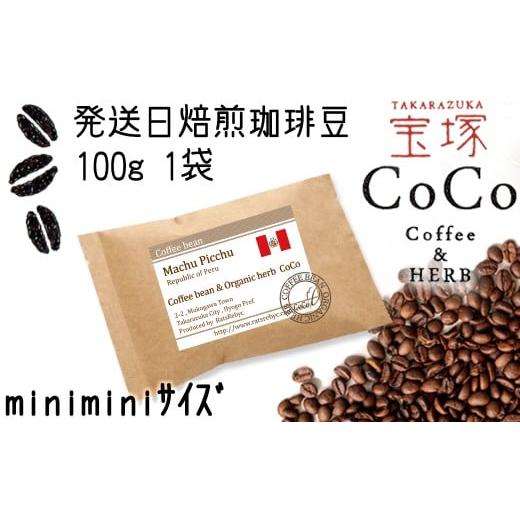 ふるさと納税 コーヒー コーヒー豆 兵庫県 宝塚市 宝塚 発送日・当日自家焙煎珈琲マチュピチュ100g miniminiサイズ 粉 粉