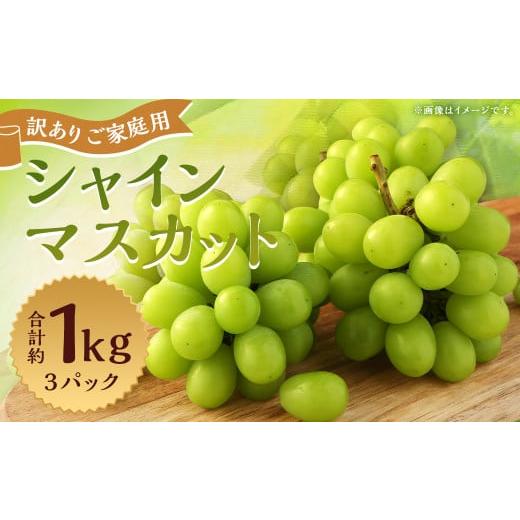 ふるさと納税 ぶどう マスカット 長崎県 時津町 訳あり ご家庭用 シャインマスカット 3パック 約1kg 2026年8月下旬〜9月下旬迄発送予定 ぶどう 葡萄 ブドウ 果…