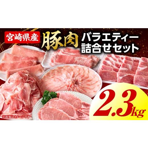 ふるさと納税 豚肉 セット 宮崎県 国富町 豚肉バラエティー詰合せセット 2.3kg 2026年7月発送予定 豚肉バラエティー詰合せセット 2.3kg 2026年7月発送予定