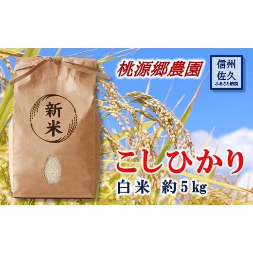 ふるさと納税 米 コシヒカリ 長野県 佐久市 令和7年産・白米5kg 長野県産こしひかり 桃源郷農園のお米(2025年11月30日出荷終了/北海道・沖縄県・離島は配…