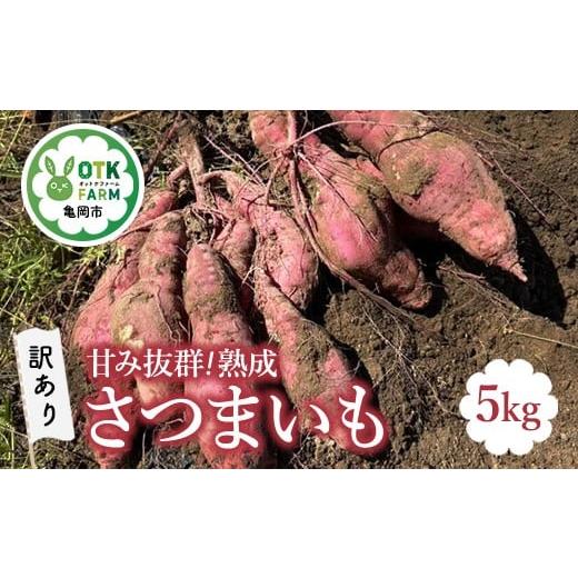ふるさと納税 野菜類 サツマイモ 京都府 亀岡市 [訳あり] 数量限定 甘み抜群 熟成 さつまいも 5kg 野菜 旬 サツマイモ 芋 離島への配送不可 2025年12月下旬…
