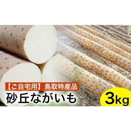 ふるさと納税 人参・大根・他根菜 鳥取県 北栄町 753. ご自宅用 鳥取特産品 砂丘ながいも(カット)3kg