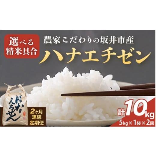 ふるさと納税 米 福井県 坂井市 定期便 2ヶ月連続お届け 令和7年産 農家こだわりの坂井市産 ハナエチゼン 5kg × 2回 (計10kg) 白米 米 コメ お米 華越前 5キ…