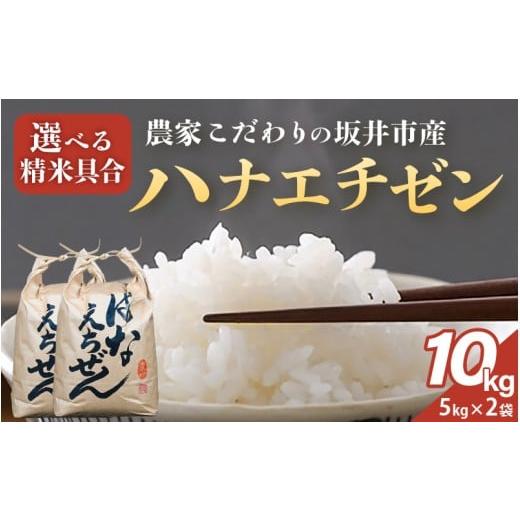ふるさと納税 米 福井県 坂井市 令和7年産 農家こだわりの坂井市産 ハナエチゼン 10kg (5kg × 2袋) 玄米 米 コメ お米 華越前 5キロ 10キロ ふるさと納税米 …