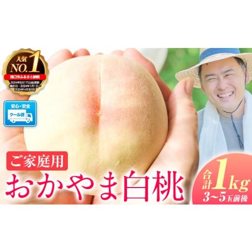 ふるさと納税 もも 岡山県 浅口市 2026年発送 先行予約開始 桃 もも ご家庭用/訳あり おかやま白桃 もも 1kg 3~5玉前後 岡山県産[2026年6月下旬-9月下旬頃…