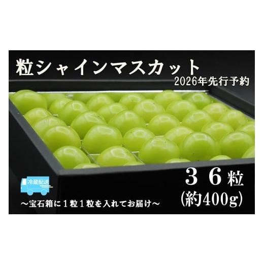 ふるさと納税 ぶどう マスカット 山梨県 富士川町 令和8年度先行予約 [厳選・宝石箱]シャインマスカットひと口BOX(36粒入り・約400g) 冷蔵発送 シャイ…