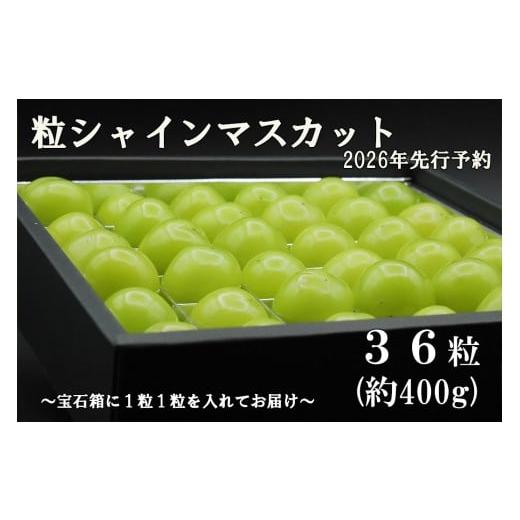 ふるさと納税 ぶどう マスカット 山梨県 富士川町 令和8年度先行予約 [厳選・宝石箱]シャインマスカットひと口BOX(36粒入り・約400g) シャイン マスカ…