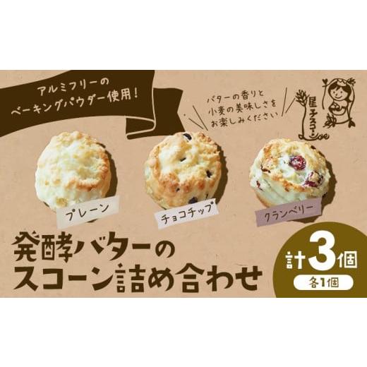 ふるさと納税 焼菓子・チョコレート 千葉県 流山市 星子スコーン 行列ができる スコーン 詰め合わせ 3種 3個 プレーン チョコチップ クランベリー [30日以内…
