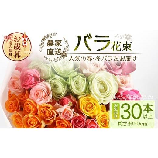 ふるさと納税 花・苗木 花束 鹿児島県 南大隅町 お歳暮 人気の冬薔薇をお届け ばら農家直送 バラ花束30本以上お届け(色はおまかせ) TB-16-os │ローズ 新鮮 …
