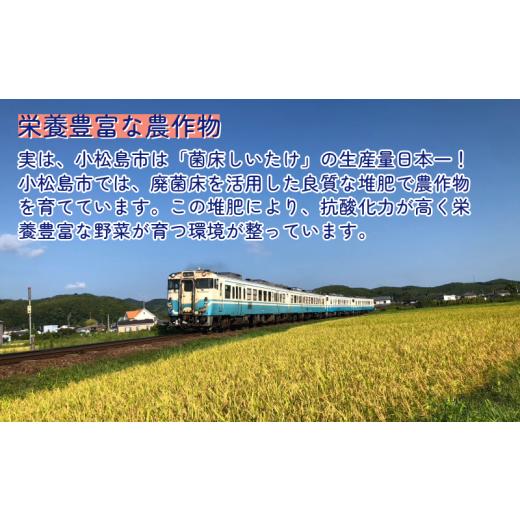 ふるさと納税 コーヒー コーヒー豆 徳島県 小松島市 季節のコーヒー 粉 定期便 12回 220g コーヒー豆 珈琲 コーヒー COFFEE 自家焙煎 焙煎 コーヒー豆 中煎り …の画像