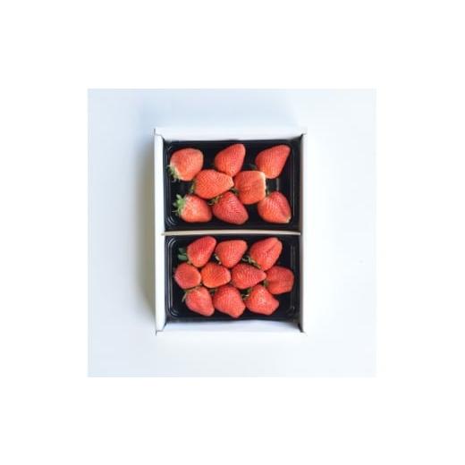 ふるさと納税 りんご 山梨県 山梨市 発送月固定定期便 山梨市産 旬のフルーツ定期便全4回 4074306