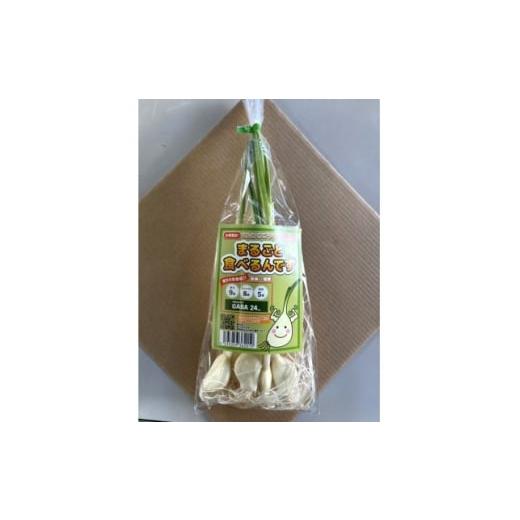 ふるさと納税 野菜類 薬味 群馬県 太田市 にんにくスプラウト まるごと食べるんです 1袋 1673303