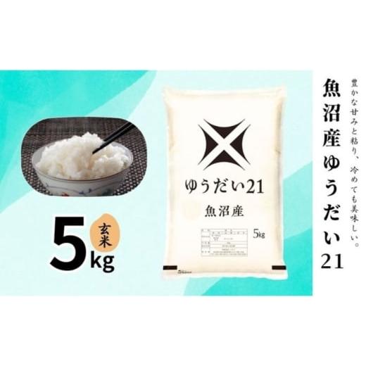 ふるさと納税 玄米 新潟県 十日町市 米 魚沼産ゆうだい21(玄米)5kg 新潟市 十日町市