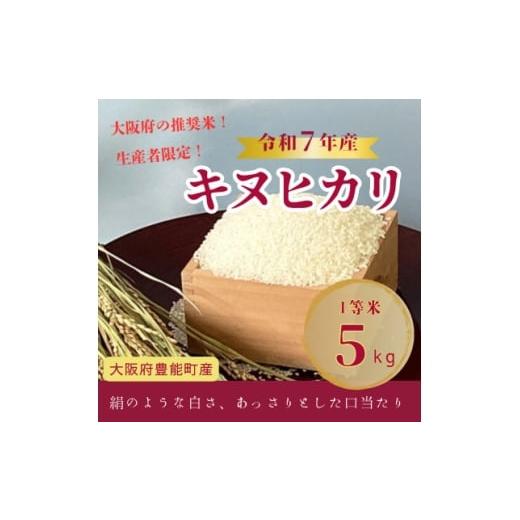 ふるさと納税 米 大阪府 豊能町 新米 令和7年産米 大阪府豊能町産 キヌヒカリ 精米5kg 生産者限定米 1682256