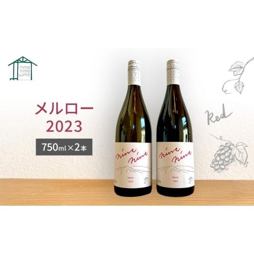 ふるさと納税 ワイン 赤ワイン 長野県 小諸市 赤ワイン2本セット Merlot/メルロー 2023 長野 信州 小諸市ワイン 赤ワイン  
