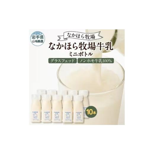 ふるさと納税 飲料類 牛乳 岩手県 岩泉町 毎月定期便 なかほら牧場 牛乳ミニボトル 10本全3回 4075361