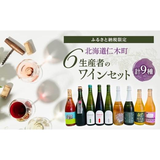 ふるさと納税 ワイン セット 北海道 仁木町 北海道仁木町 ふるさと納税限定ワインセット 6生産者 ワイン 9本 セット 飲み比べ 9種 お酒 酒 果実酒 晩酌 葡萄…