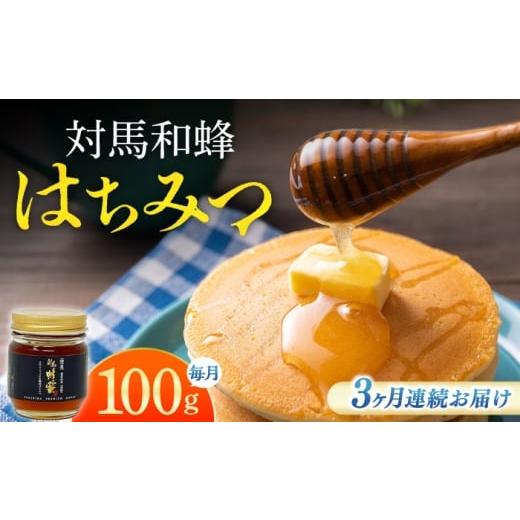 ふるさと納税 加工品等 はちみつ 長崎県 対馬市 全3回定期便 対馬 和蜂 はちみつ 100g×1本 [対馬市] 特定非営利活動法人 對馬次世代協議会(対馬コノソレ…