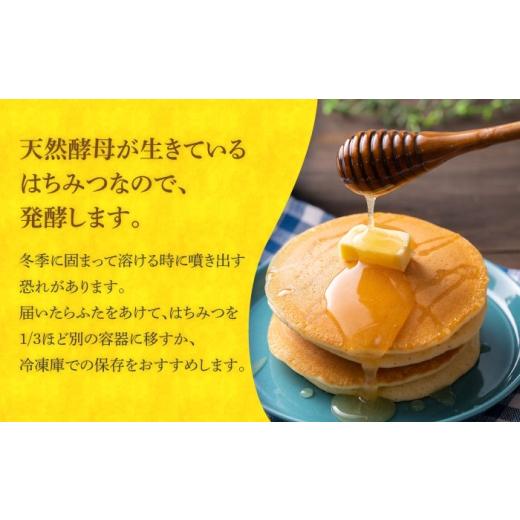 ふるさと納税 加工品等 はちみつ 長崎県 対馬市  全6回定期便 対馬 和蜂 はちみつ 100g×1本 《対馬市》 特定非営利活動法人 對馬次世代協議会（対馬コノソレ…の画像