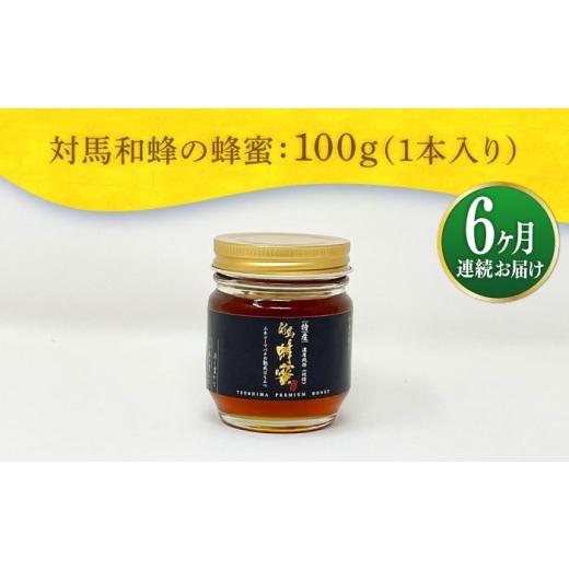 ふるさと納税 加工品等 はちみつ 長崎県 対馬市  全6回定期便 対馬 和蜂 はちみつ 100g×1本 《対馬市》 特定非営利活動法人 對馬次世代協議会（対馬コノソレ…の画像
