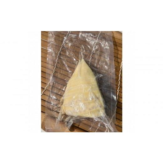 ふるさと納税 野菜類 山菜 静岡県 静岡市 2026年4月以降順次発送 新鮮即茹で 筍水煮 150g×8袋セット