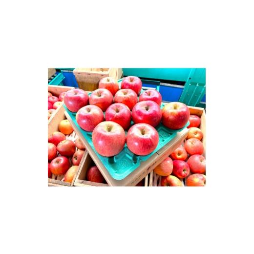 ふるさと納税 りんご 青森県 大鰐町 2025年12月発送予定 平均糖度13度以上 葉とらずサンふじ 約3kg 訳あり 1682953