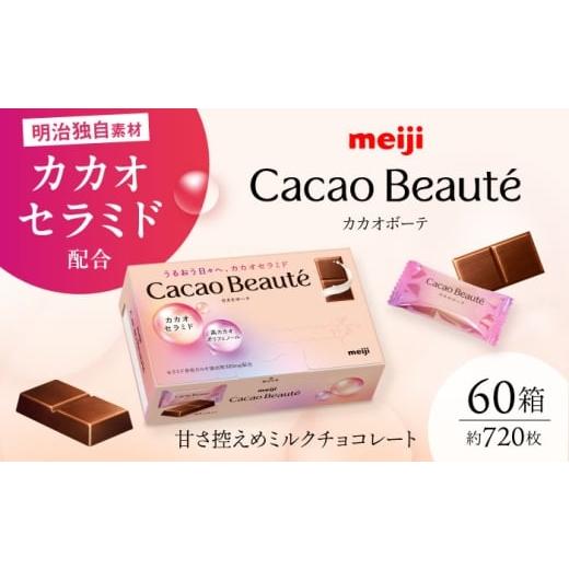 ふるさと納税 菓子 チョコレート 大阪府 高槻市 うるおう日々へ、カカオセラミド カカオボーテ 60g×60箱 約720枚 チョコレート チョコ 美容 大容量 大阪府高…