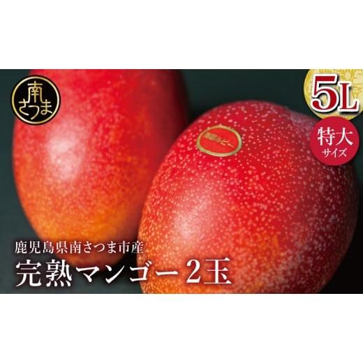 ふるさと納税 マンゴー 鹿児島県 南さつま市 数量・期間限定 鹿児島県産 完熟マンゴー 5L 2玉 2026年 先行受付 贈答品用 ギフト オリジナル白箱入り アップル…